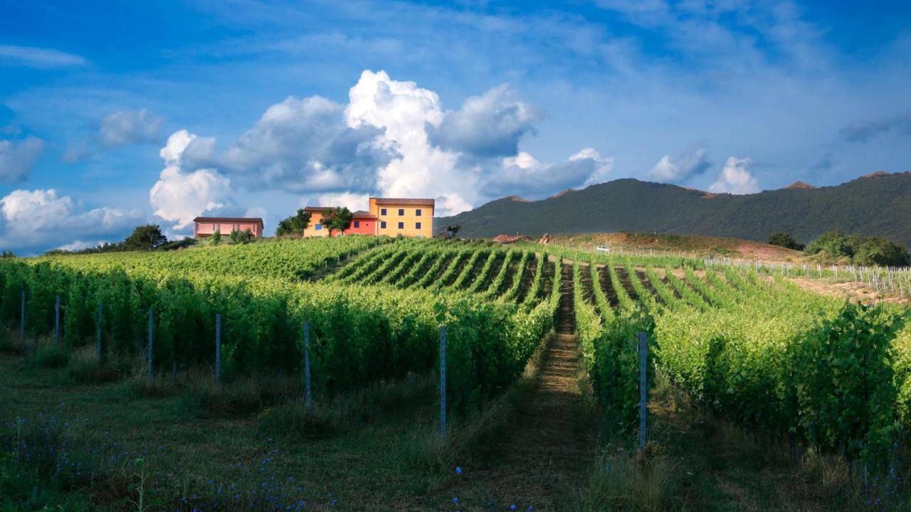 Tenuta Grimaldi Wine Resort 马泰利卡 外观 照片