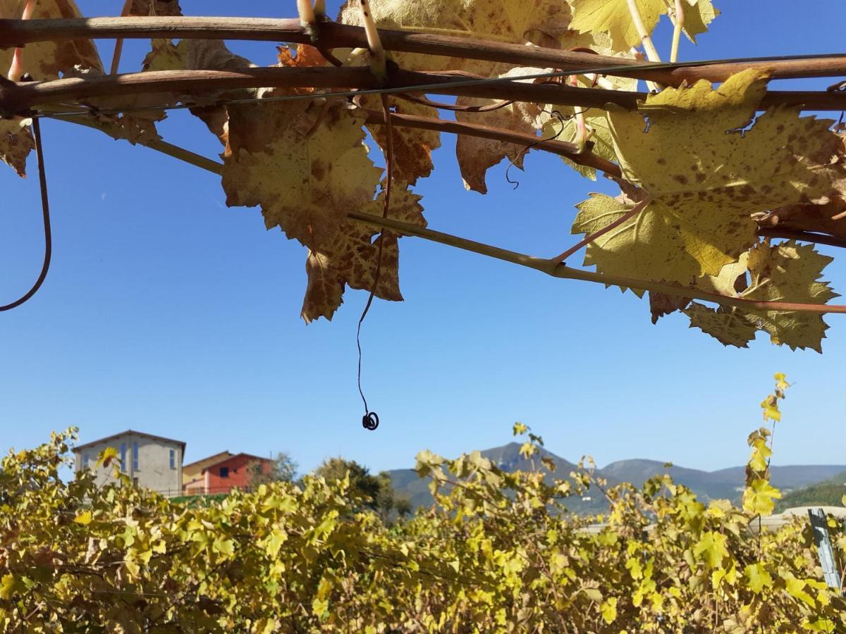 Tenuta Grimaldi Wine Resort 马泰利卡 外观 照片