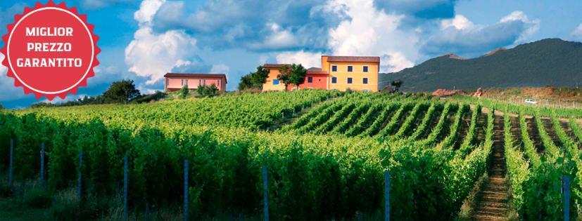 Tenuta Grimaldi Wine Resort 马泰利卡 外观 照片